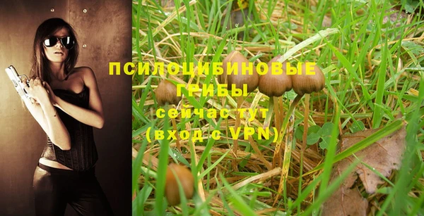 индика Елабуга