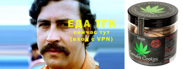 спайс Ельня