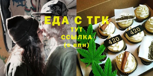 индика Елабуга