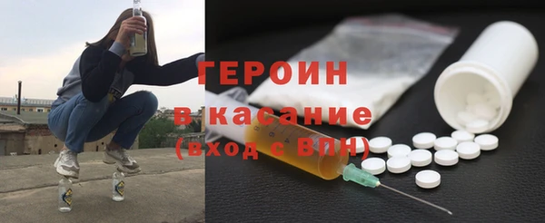 индика Елабуга