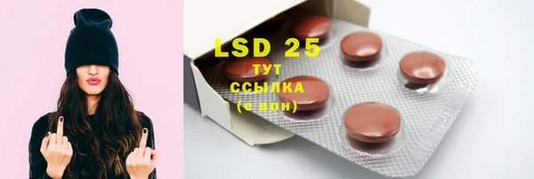 индика Елабуга