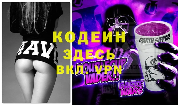 индика Елабуга