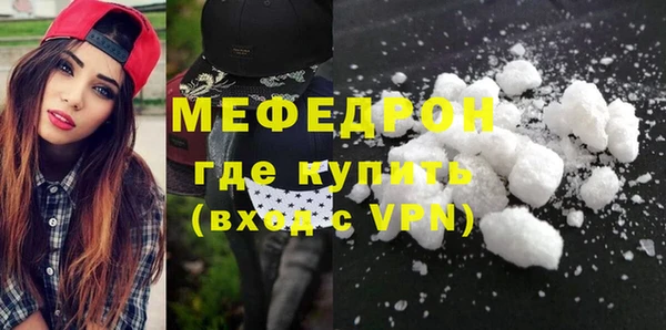 индика Елабуга