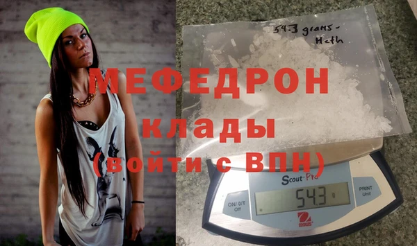 индика Елабуга