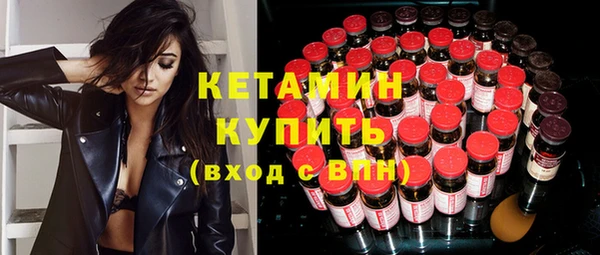 индика Елабуга