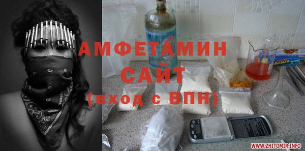 индика Елабуга